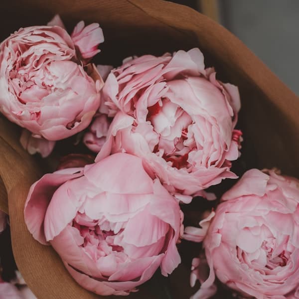 Peony Bouquet