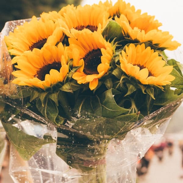 Sunflower Bouquet